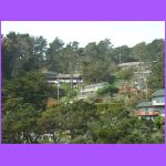 Side of Mountain.jpg